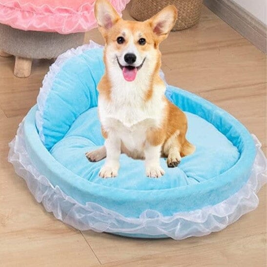 Lit Pour Chien - CuteLaceDogBed™ - Bleu